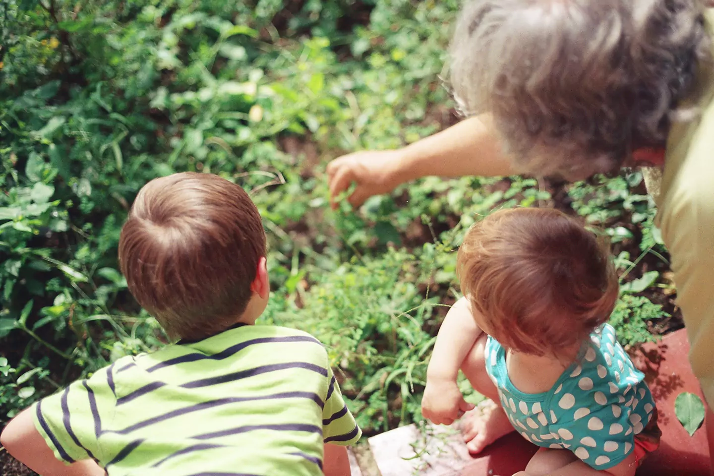Do Grandparents Have Visitation Rights?